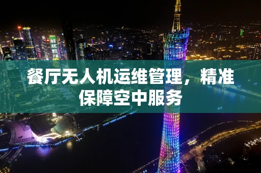 餐厅无人机运维管理，精准保障空中服务