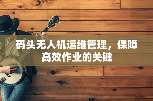 码头无人机运维管理，保障高效作业的关键