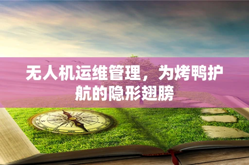 无人机运维管理，为烤鸭护航的隐形翅膀
