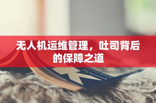 无人机运维管理，吐司背后的保障之道