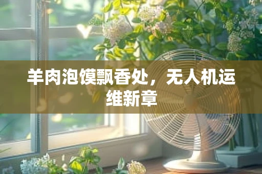 羊肉泡馍飘香处，无人机运维新章