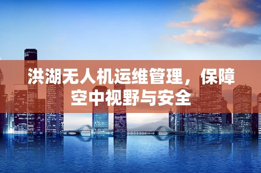 洪湖无人机运维管理，保障空中视野与安全
