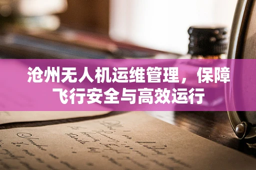沧州无人机运维管理，保障飞行安全与高效运行