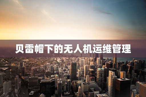 贝雷帽下的无人机运维管理
