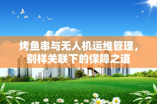 烤鱼串与无人机运维管理，别样关联下的保障之道