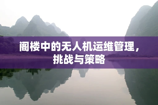 阁楼中的无人机运维管理，挑战与策略