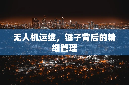 无人机运维，锤子背后的精细管理