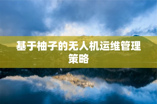 基于柚子的无人机运维管理策略