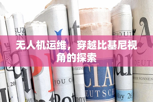 无人机运维，穿越比基尼视角的探索