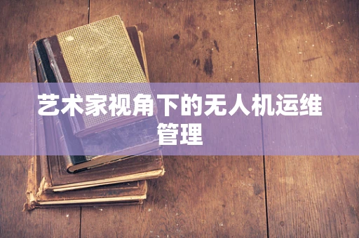 艺术家视角下的无人机运维管理