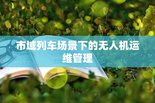 市域列车场景下的无人机运维管理