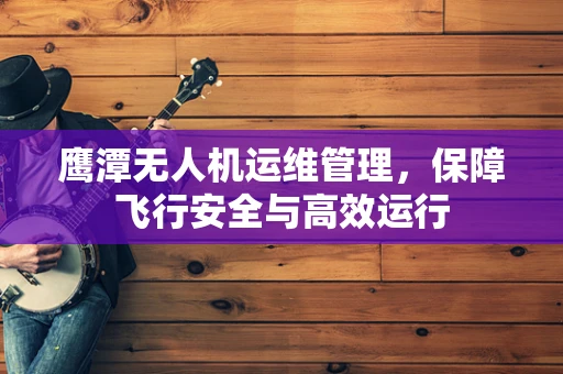 鹰潭无人机运维管理，保障飞行安全与高效运行