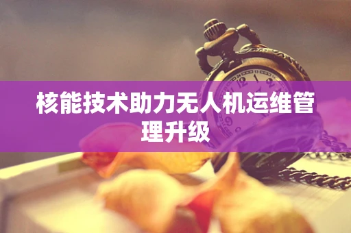 核能技术助力无人机运维管理升级