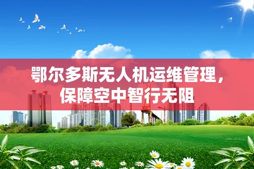 鄂尔多斯无人机运维管理，保障空中智行无阻