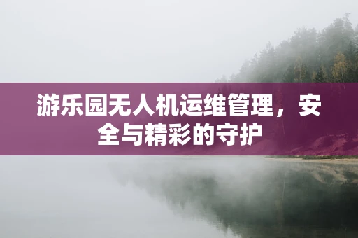 游乐园无人机运维管理，安全与精彩的守护