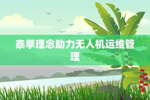 泰拳理念助力无人机运维管理