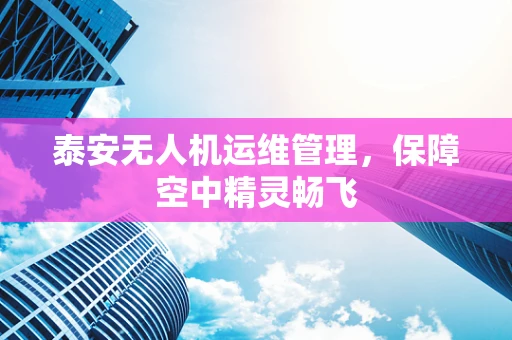 泰安无人机运维管理，保障空中精灵畅飞