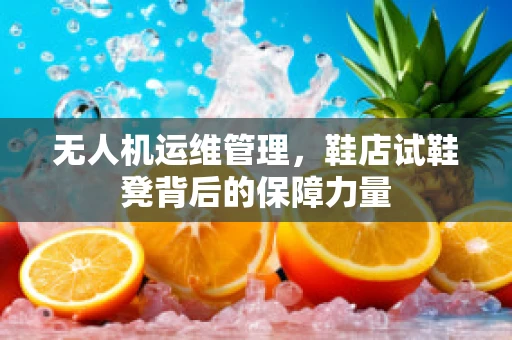 无人机运维管理，鞋店试鞋凳背后的保障力量