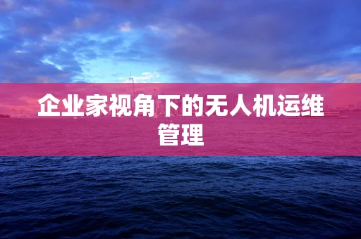 企业家视角下的无人机运维管理