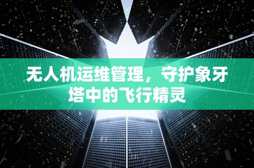无人机运维管理，守护象牙塔中的飞行精灵