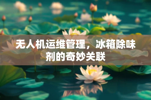 无人机运维管理，冰箱除味剂的奇妙关联