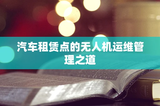 汽车租赁点的无人机运维管理之道