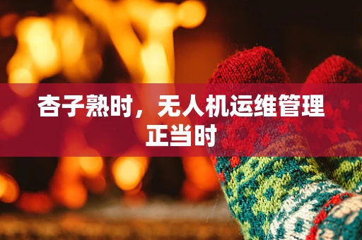 杏子熟时，无人机运维管理正当时