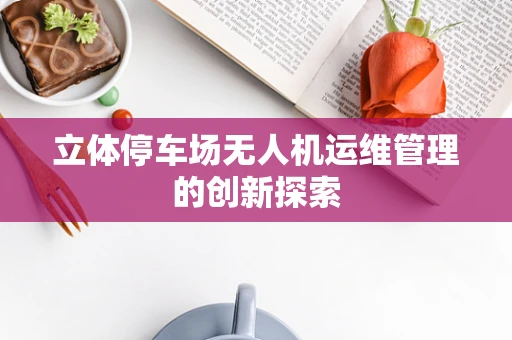 立体停车场无人机运维管理的创新探索