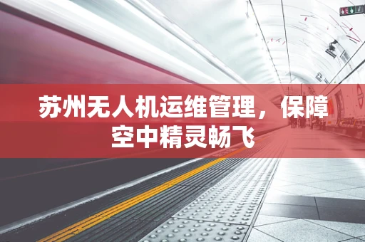 苏州无人机运维管理，保障空中精灵畅飞