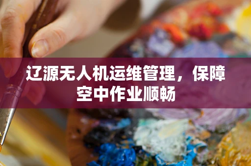 辽源无人机运维管理，保障空中作业顺畅