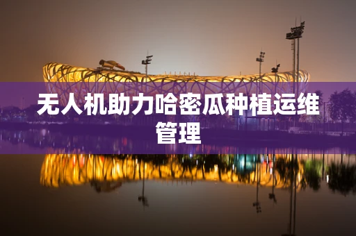 无人机助力哈密瓜种植运维管理