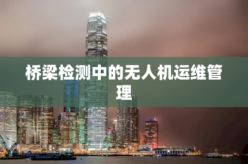 桥梁检测中的无人机运维管理