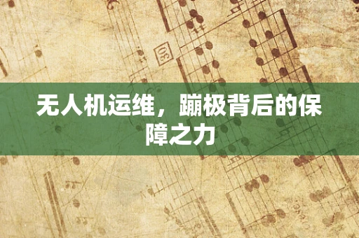 无人机运维，蹦极背后的保障之力