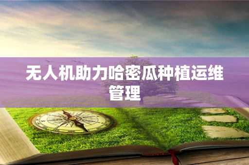 无人机助力哈密瓜种植运维管理