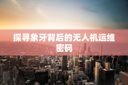 探寻象牙背后的无人机运维密码