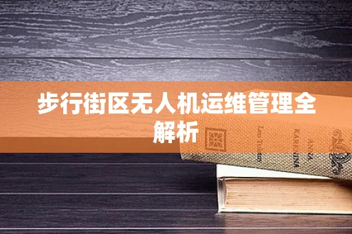 步行街区无人机运维管理全解析
