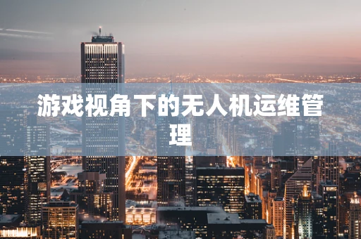 游戏视角下的无人机运维管理