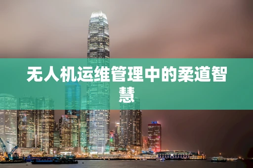 无人机运维管理中的柔道智慧