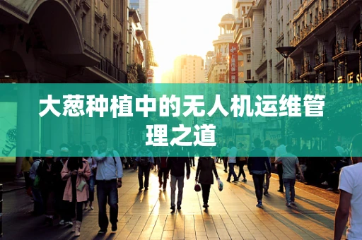 大葱种植中的无人机运维管理之道