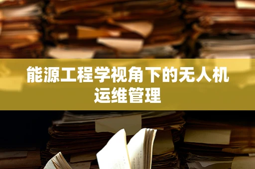 能源工程学视角下的无人机运维管理