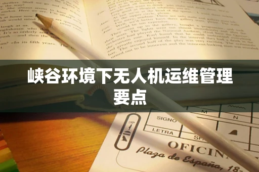 峡谷环境下无人机运维管理要点