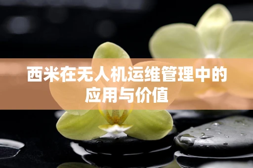 西米在无人机运维管理中的应用与价值
