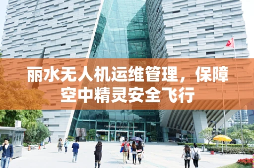 丽水无人机运维管理，保障空中精灵安全飞行