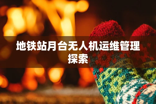 地铁站月台无人机运维管理探索