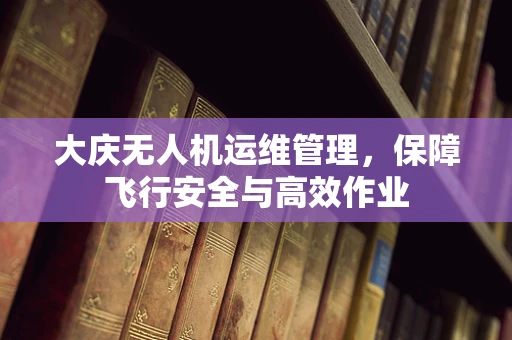 大庆无人机运维管理，保障飞行安全与高效作业