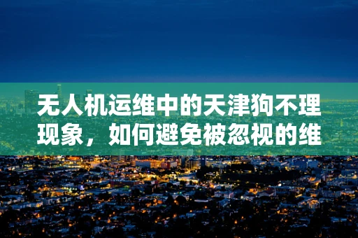 无人机运维中的天津狗不理现象，如何避免被忽视的维护任务？