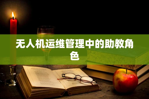 无人机运维管理中的助教角色
