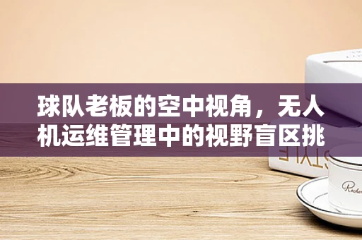 球队老板的空中视角，无人机运维管理中的视野盲区挑战