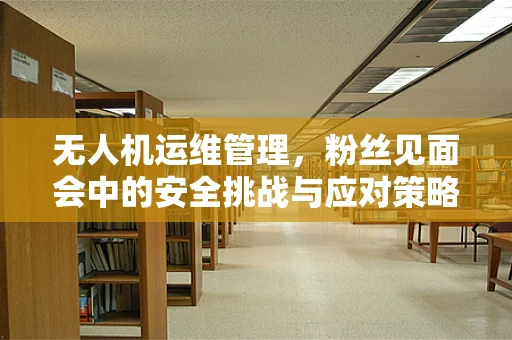 无人机运维管理，粉丝见面会中的安全挑战与应对策略