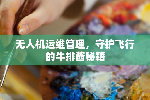 无人机运维管理，守护飞行的牛排酱秘籍